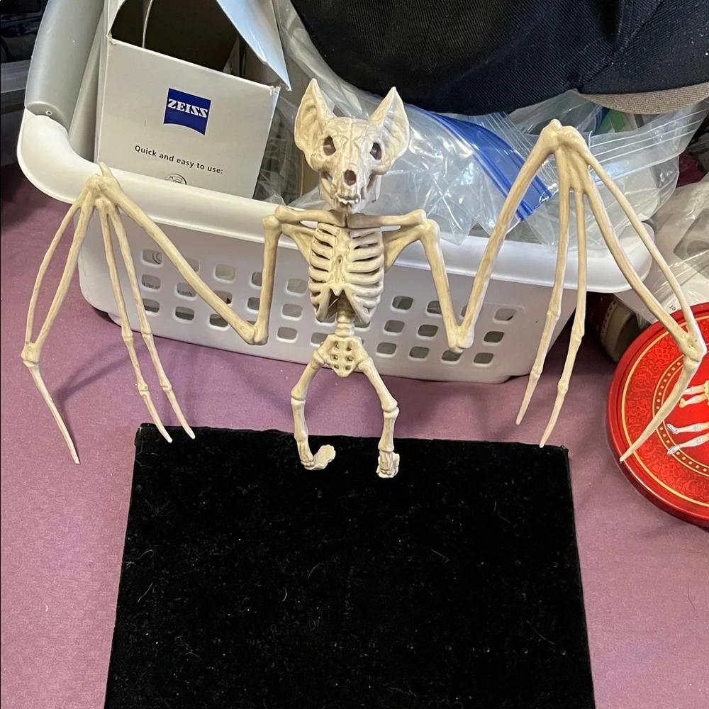 Natural Bat Skeleton Reptile Decor - Cream
